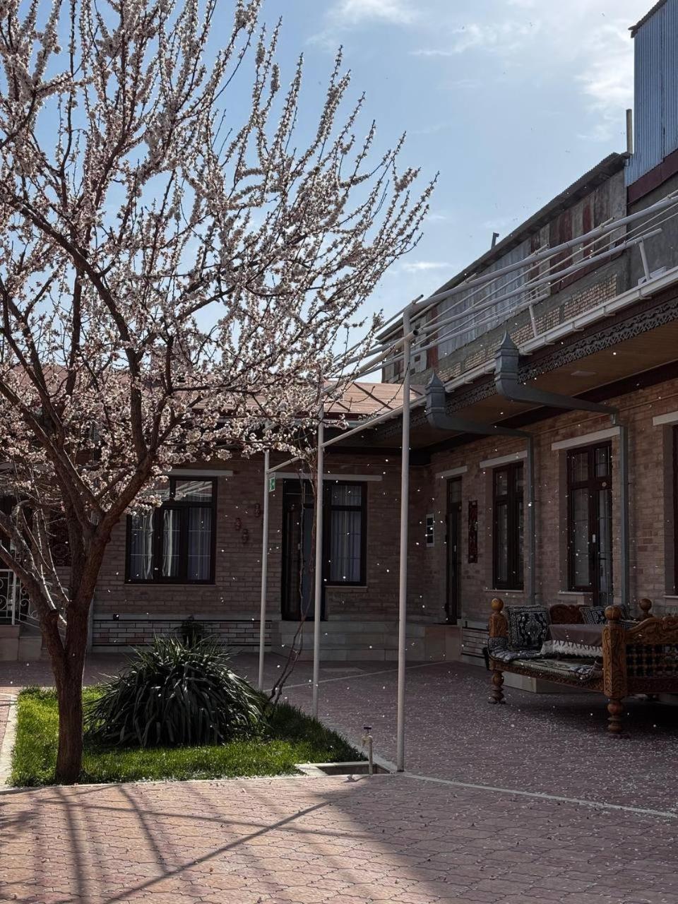 Salomat Guest House Самарканд Экстерьер фото